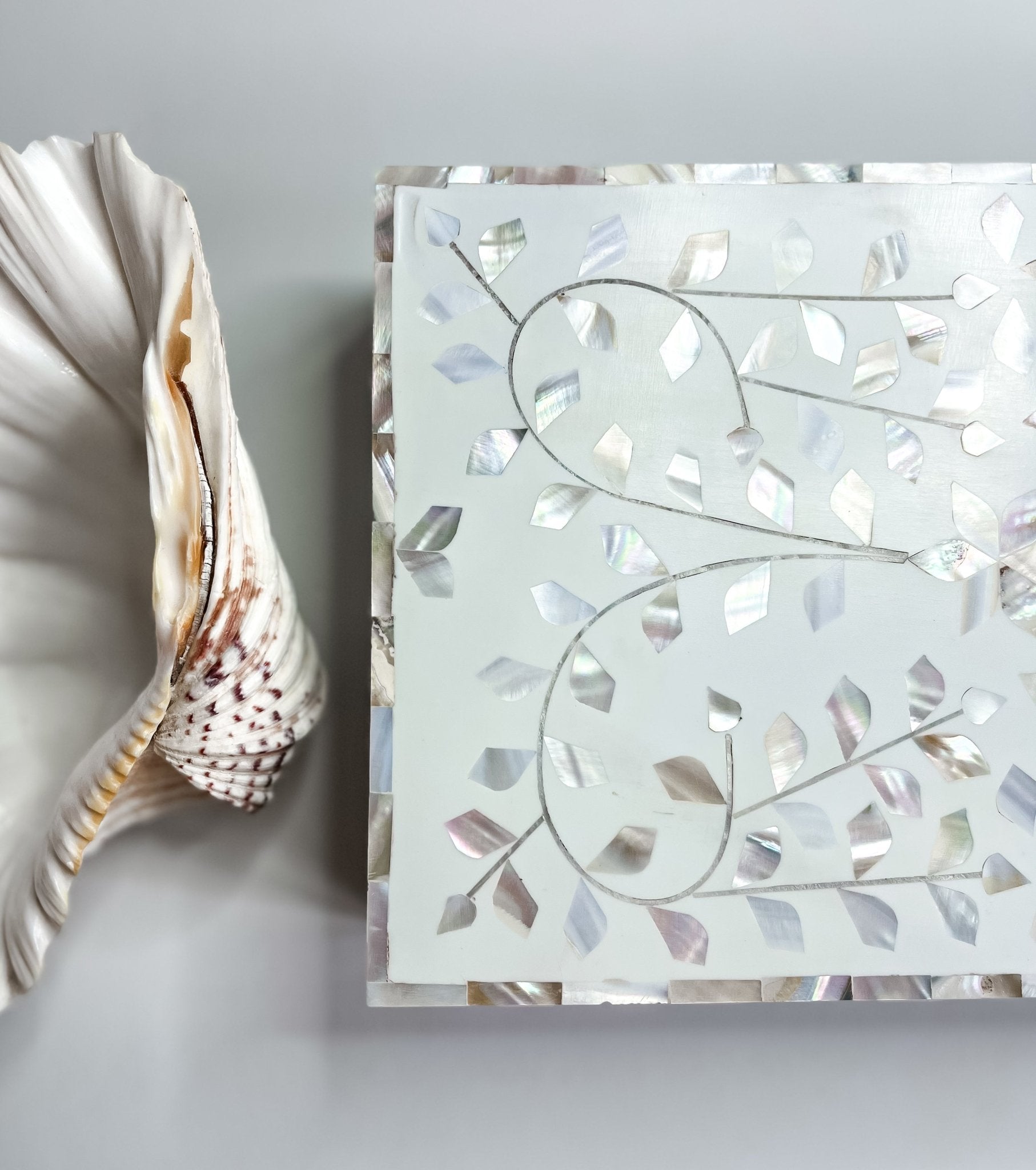 Sandy Shores | Large Mother of Pearl Jewellery Box - Bombaby