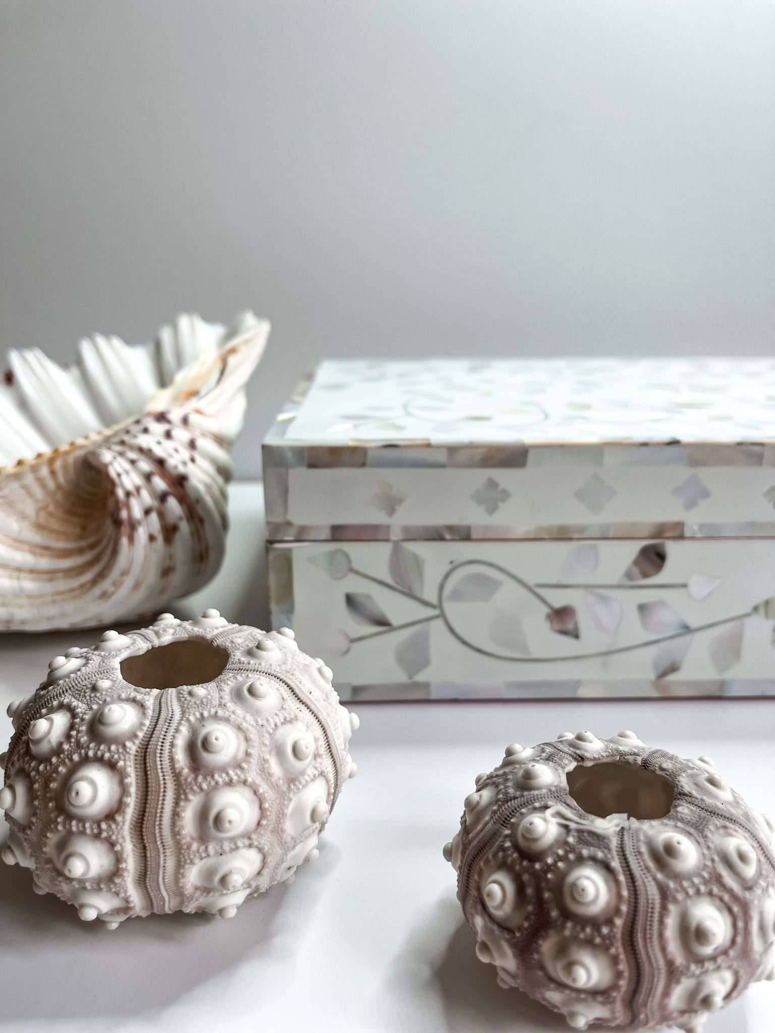 Sandy Shores | Large Mother of Pearl Jewellery Box - Bombaby